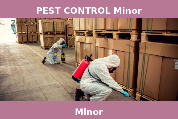 PEST CONTROL Minor